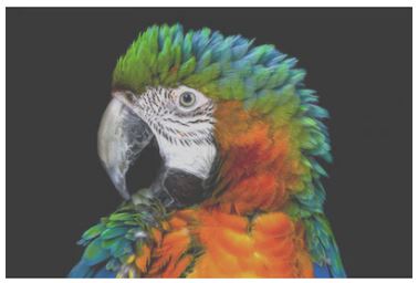 TV Buying Guide: How To Choose A TV 2 OLED1