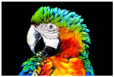 TV Buying Guide: How To Choose A TV 3 OLED2