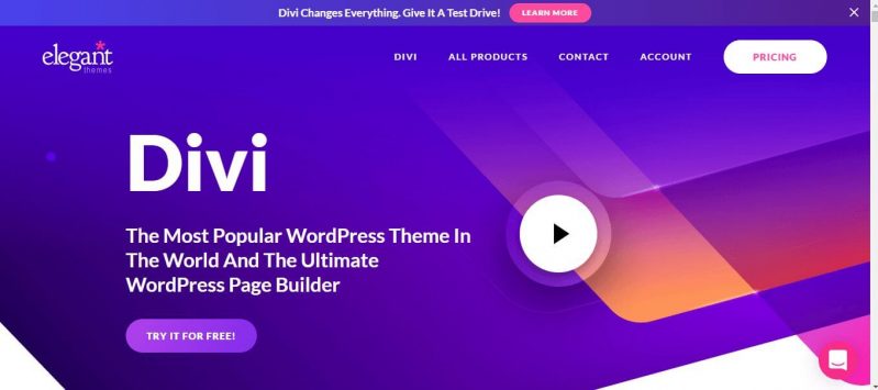 divi theme