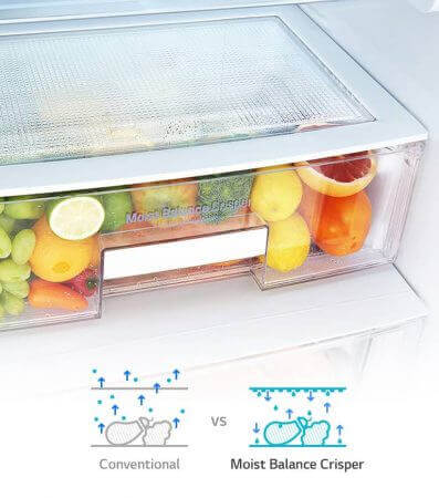 Moist Balance Crisper