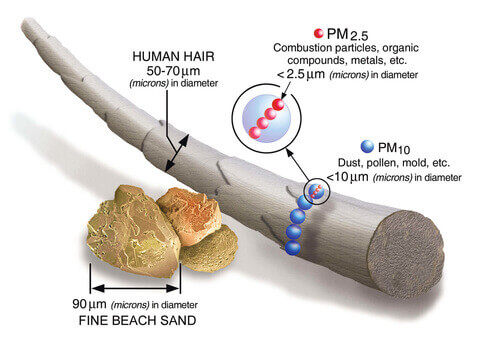 What Is PM 2.5 Filter? 1 pm 2.5 filter