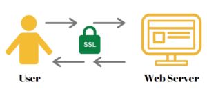 Types Of SSL Certificates