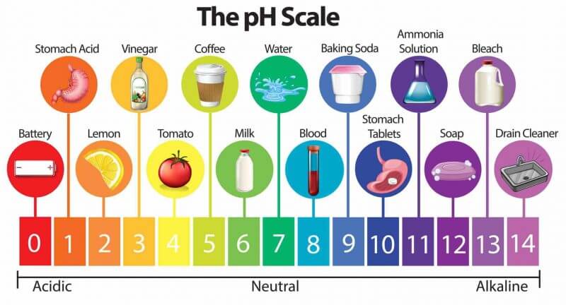 What Is pH Level In Drinking Water? 1 pH Level In Drinking Water
