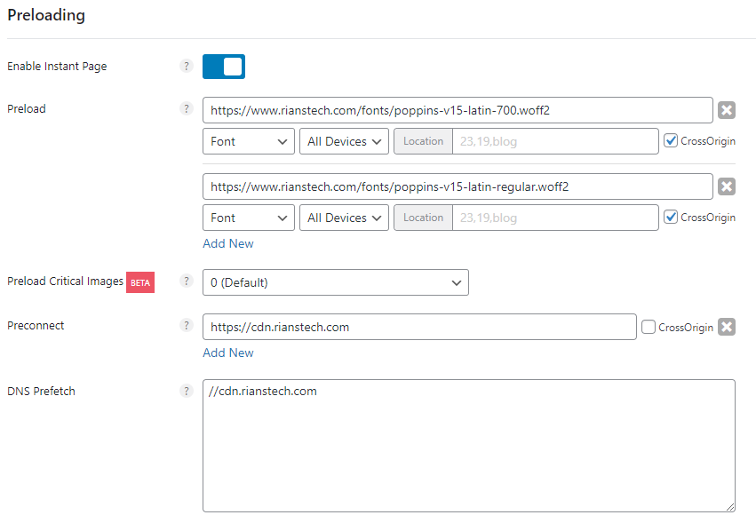 Perfmatters asset preloading