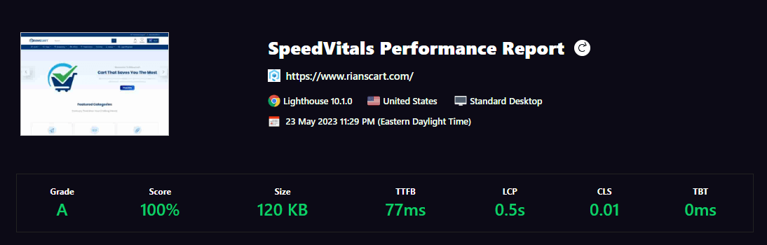 Nestify Review- Speed Vitals Speed Test