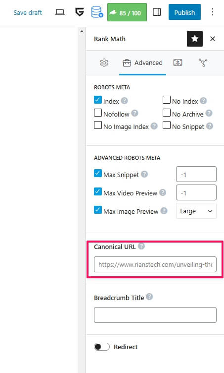 Unveiling the Power of Rank Math SEO Analyzer: A Comprehensive Guide 17 Rank Math SEO Analyzer_ Canonical Tag